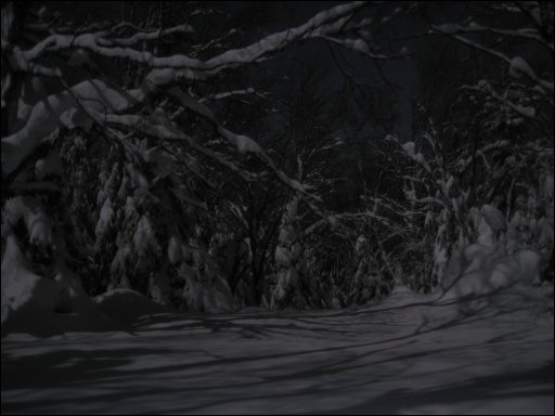[15-rob-night-snowfield.jpg]