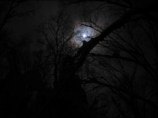 [16-nightmoon-dark.jpg]
