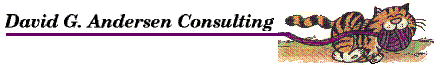 David G. Andersen Consulting