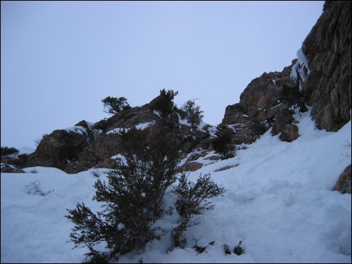 [100-0031_IMG.JPG]