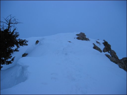 [100-0035_IMG.JPG]
