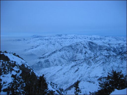 [100-0039_IMG.JPG]