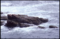 Rocks - Ingraham point