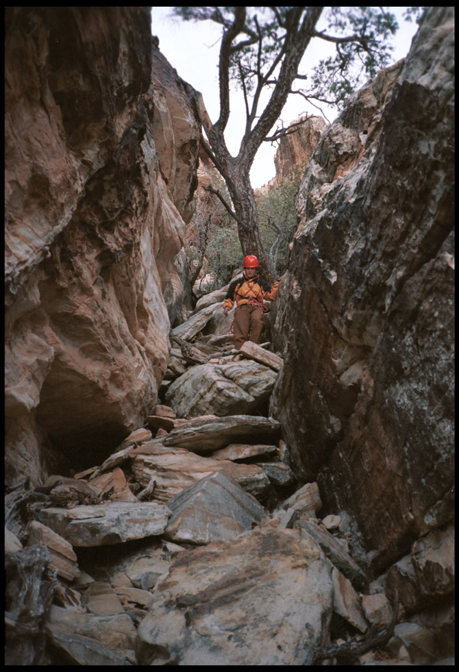 Lisa_descending_Tunnel_Vision