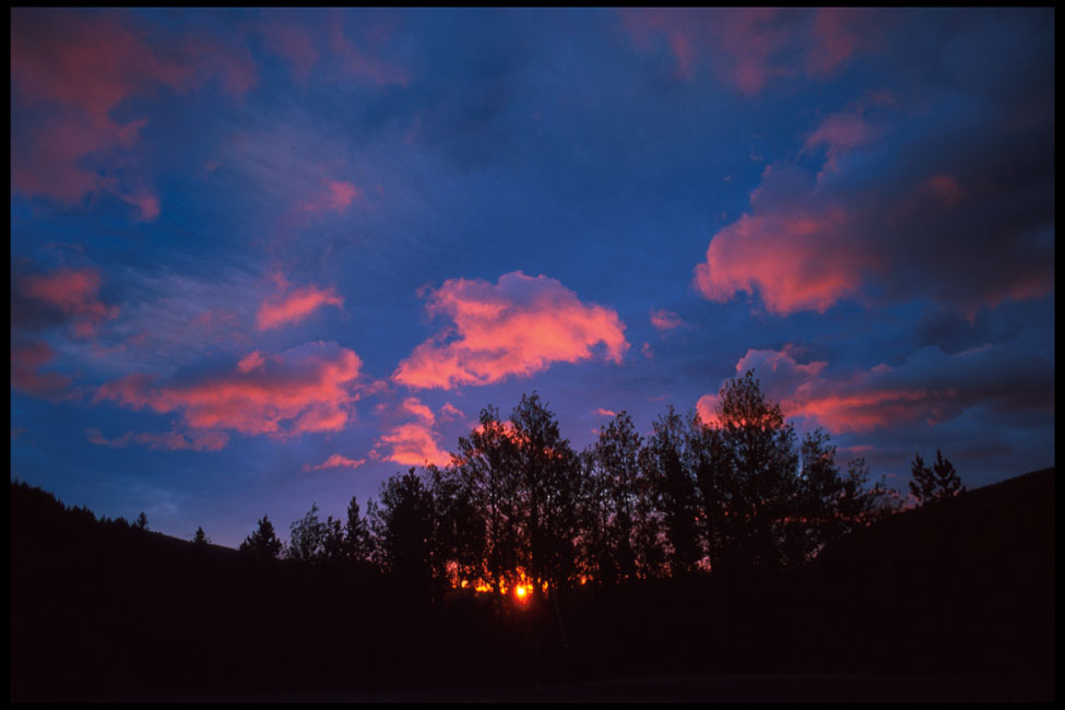 RMNP_sunset_trees