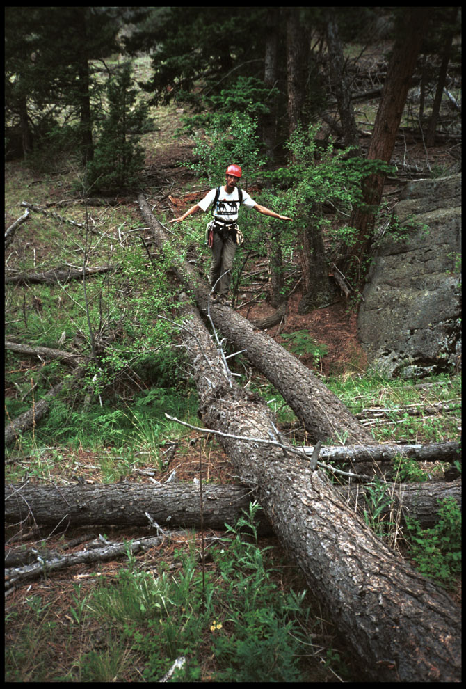 tree_balance_hector