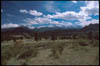 RMNP_panorama